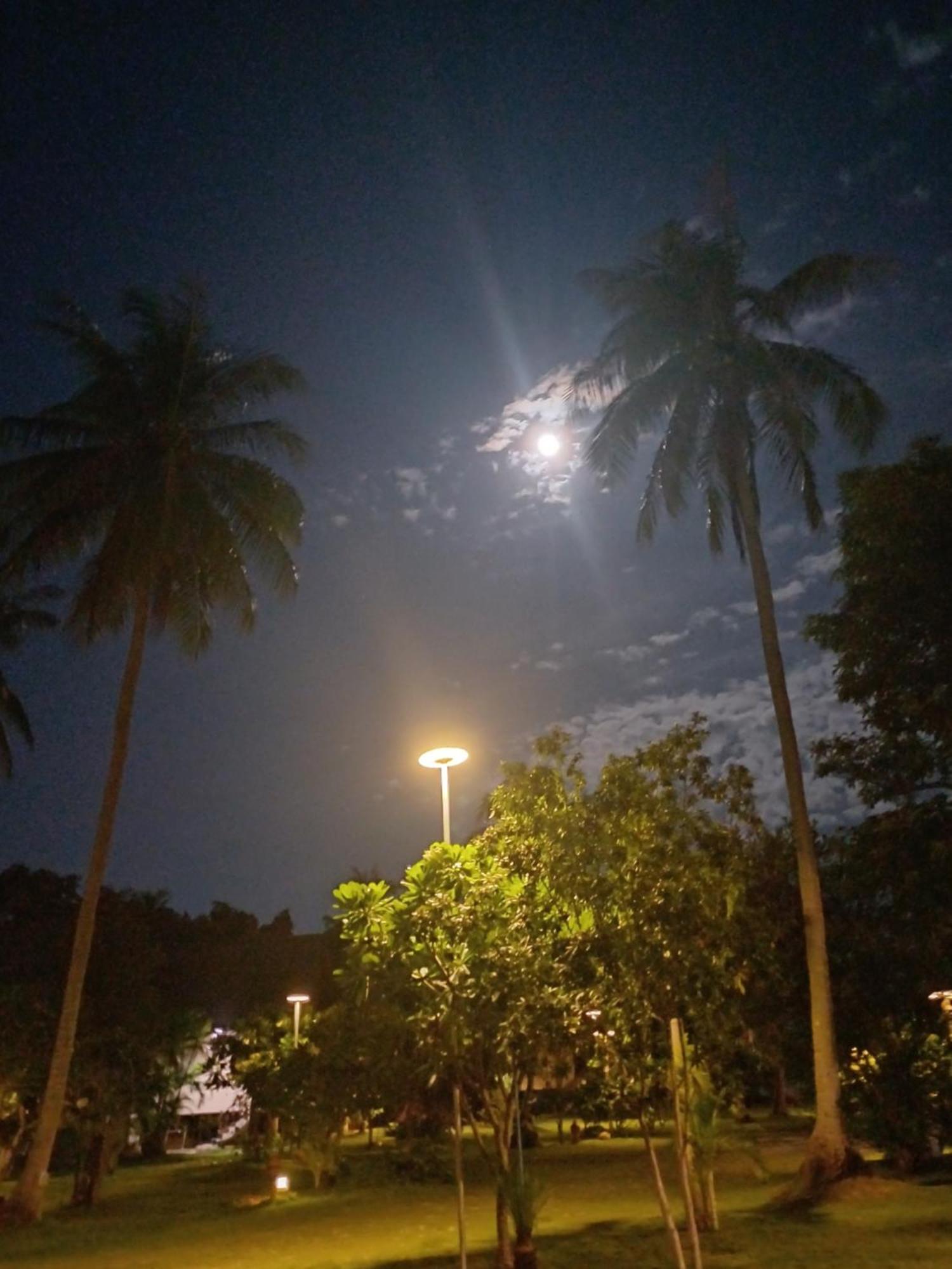 Tropicana Khophagan Resort Hotel Thong Sala Luaran gambar