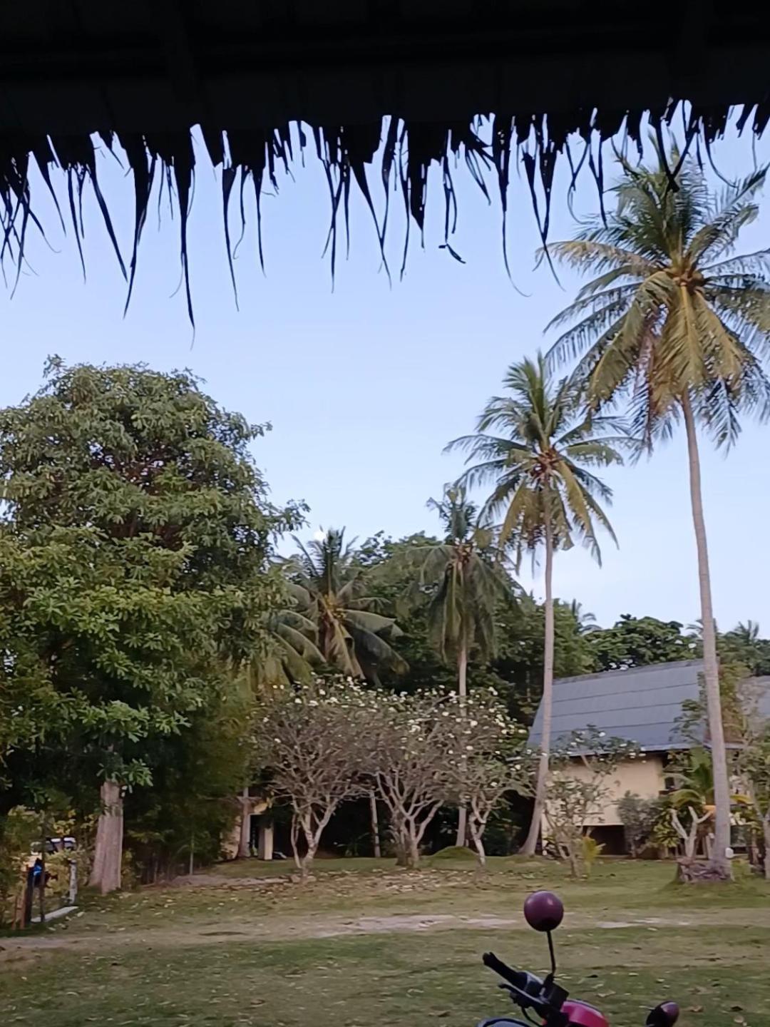 Tropicana Khophagan Resort Hotel Thong Sala Bilik gambar